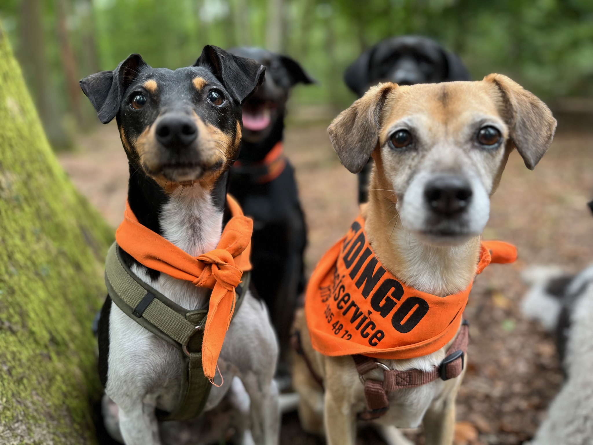 Oliver George, CFO of Corecords